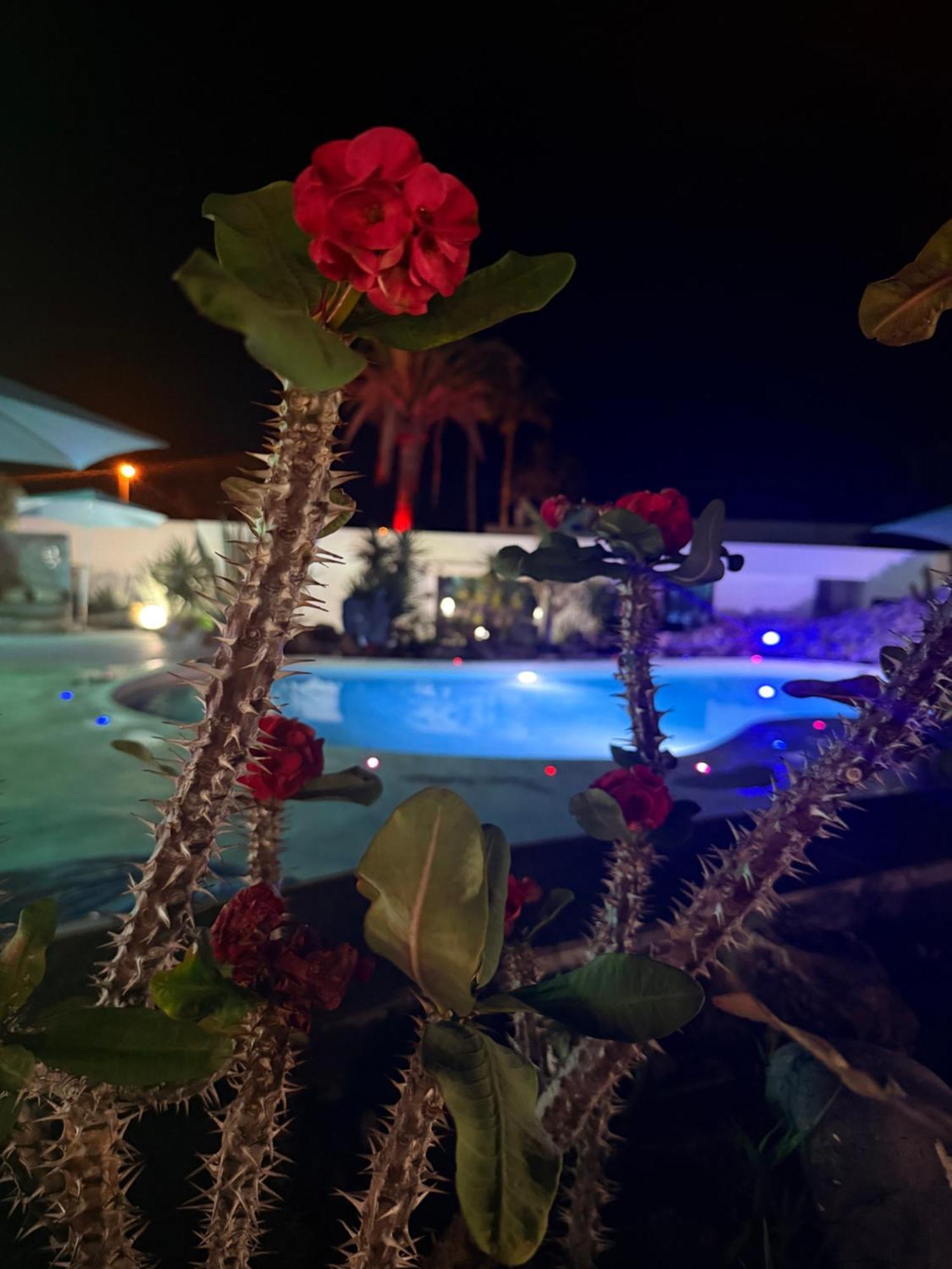 Paraiso Villas プラヤ・パライソ エクステリア 写真
